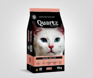 Gatos Adultos